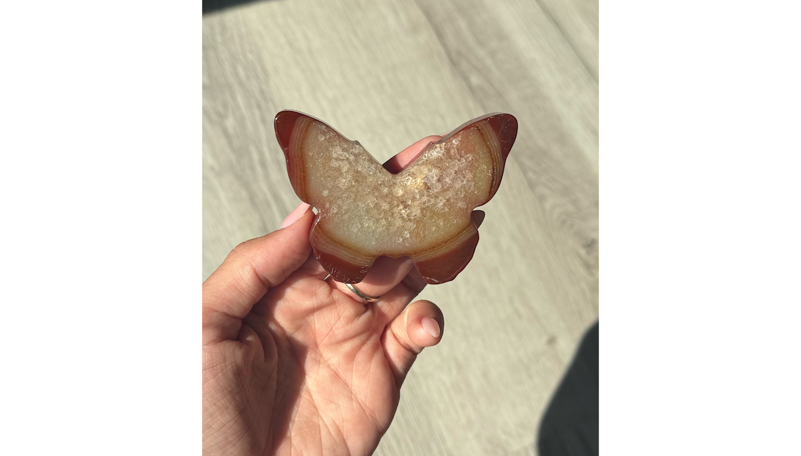 Carnelian Butterfly - Image 2