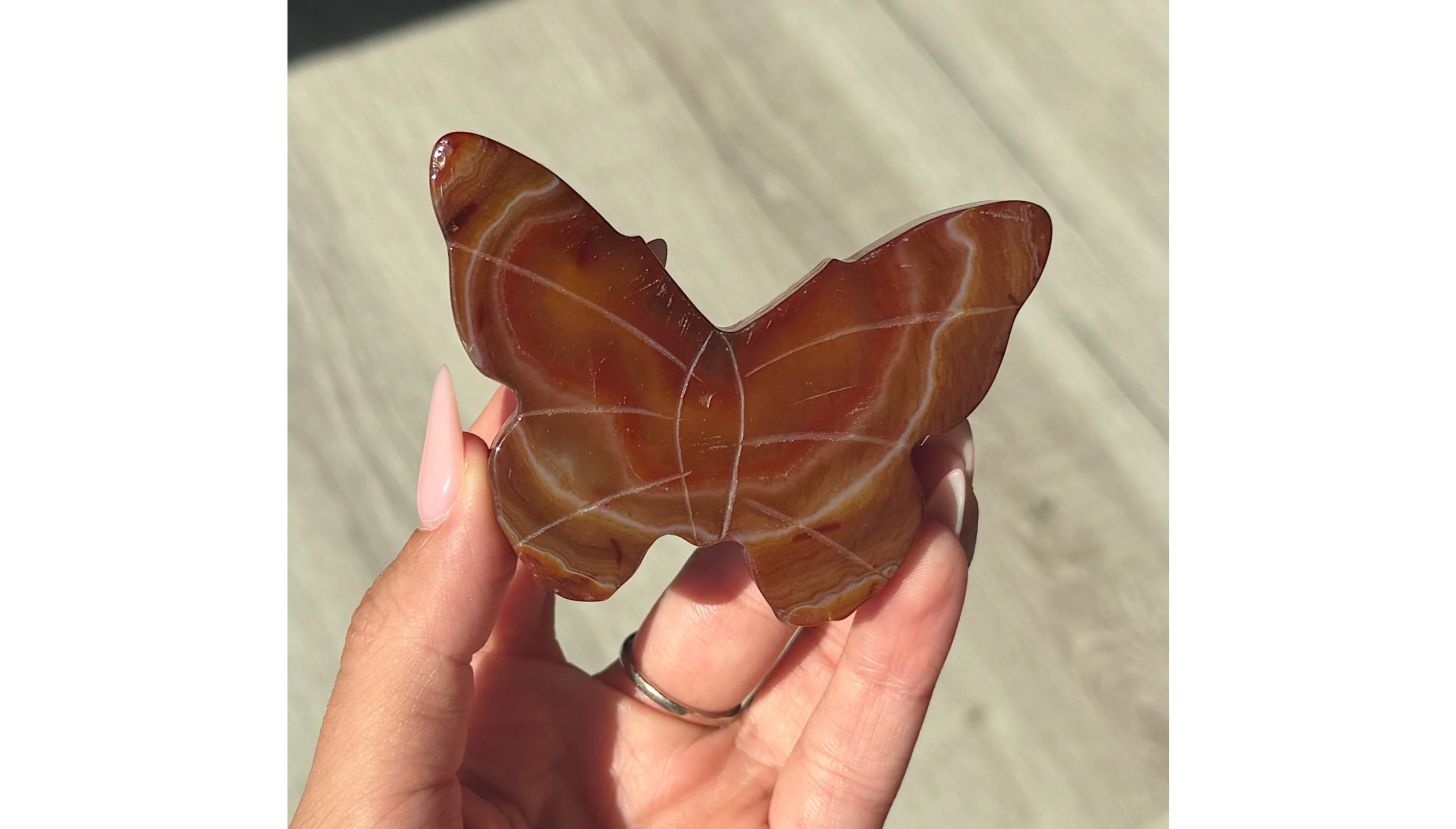 Carnelian Butterfly