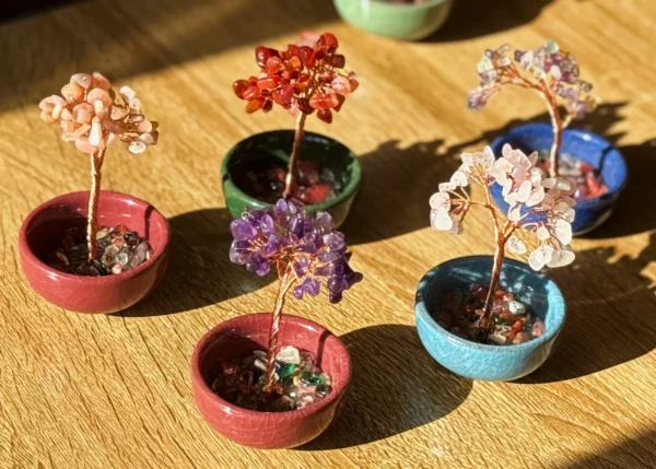 Mystery Money Tree