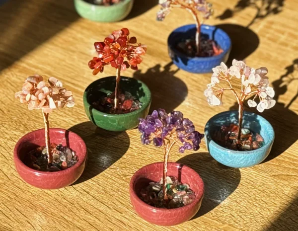 Mystery Money Tree - Image 2