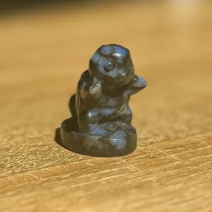 Charmondar The Que Sera Collector's Guardian