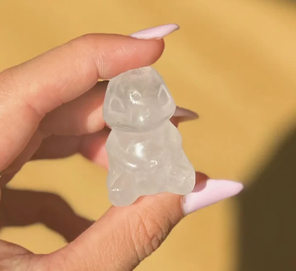 Squirtle Clear Quartz