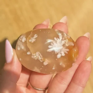 Flower Agate Palm Stone