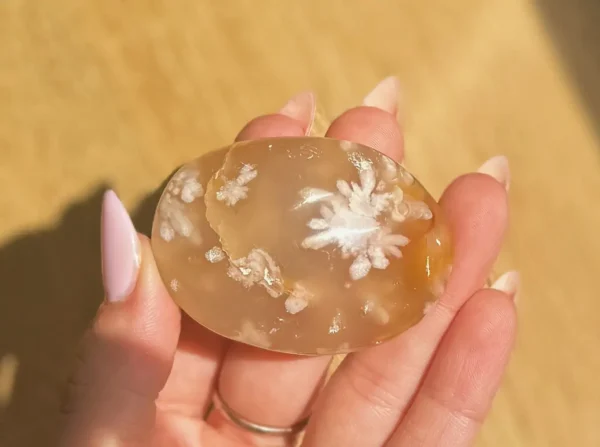 Flower Agate Palm Stone