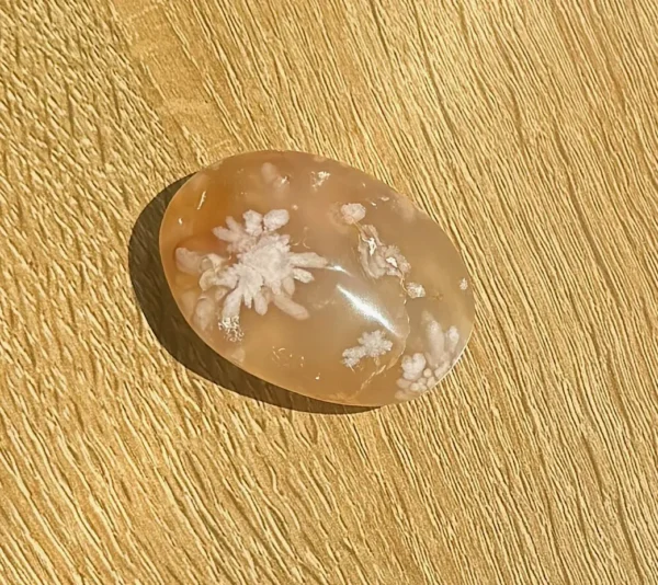 Flower Agate Palm Stone - Image 2