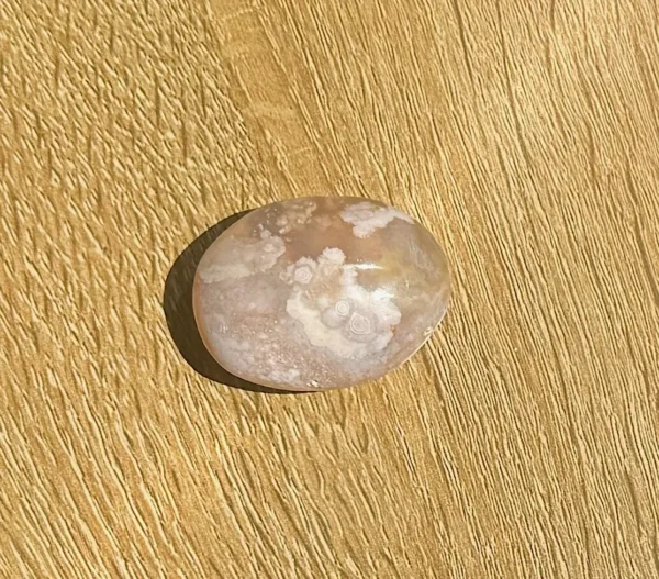 Flower Agate Palm Stone - Image 2
