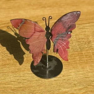 Wings of the Earth Witch