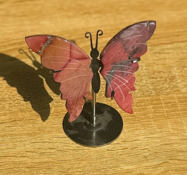 Wings of the Earth Witch