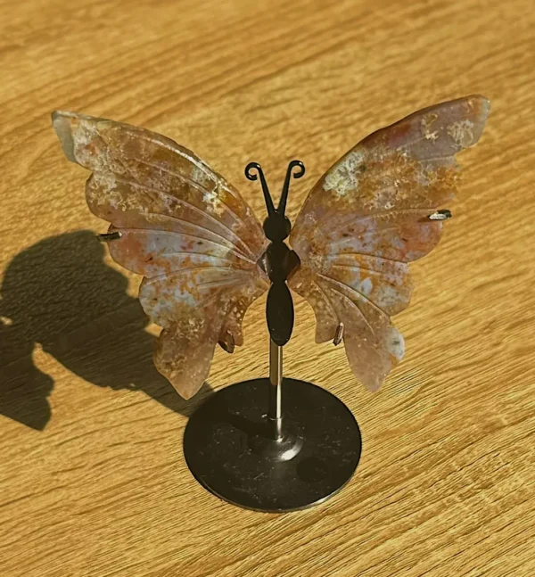 Ocean Jasper Butterfly Wings