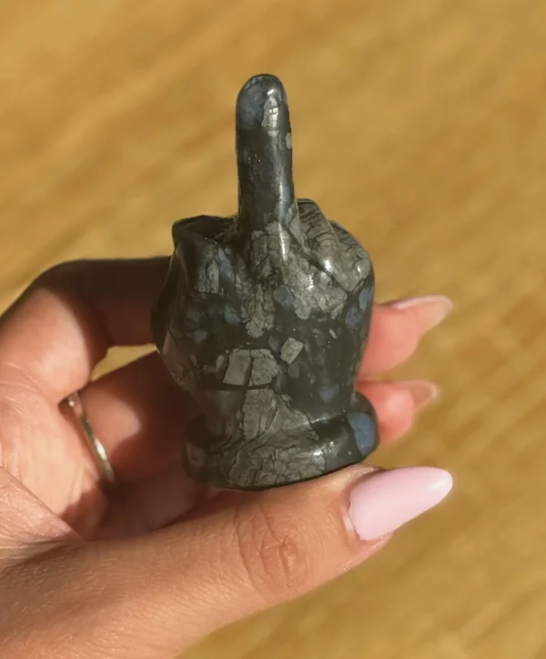 Que Sera Middle Finger - Image 3