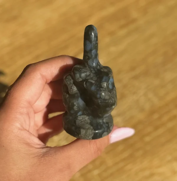 Que Sera Middle Finger - Image 5