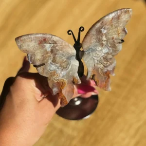 Forest Spell Butterfly Mexican Agate Edition