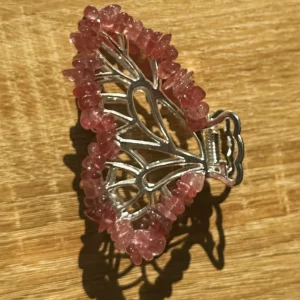Strawberry Spellwing Hair Clip