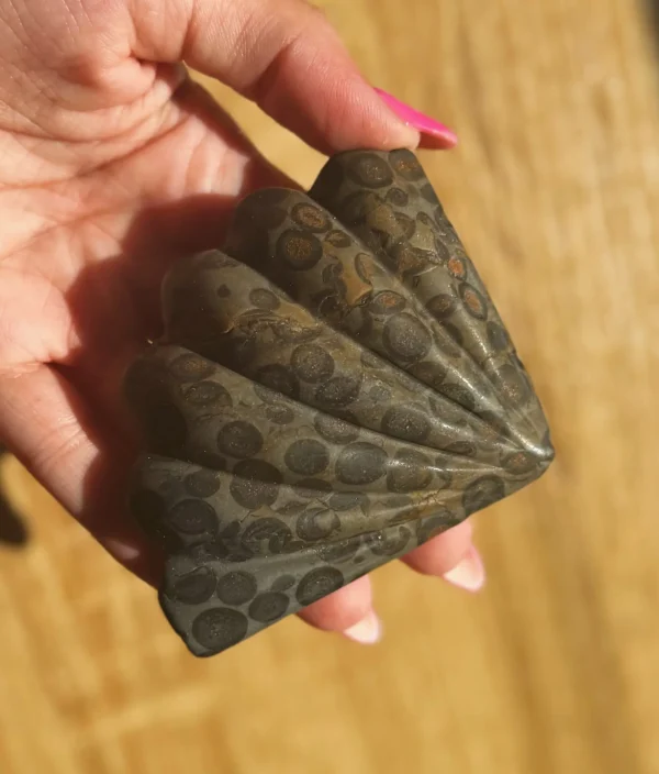 The Mermaid’s Fortune Shell - Image 4