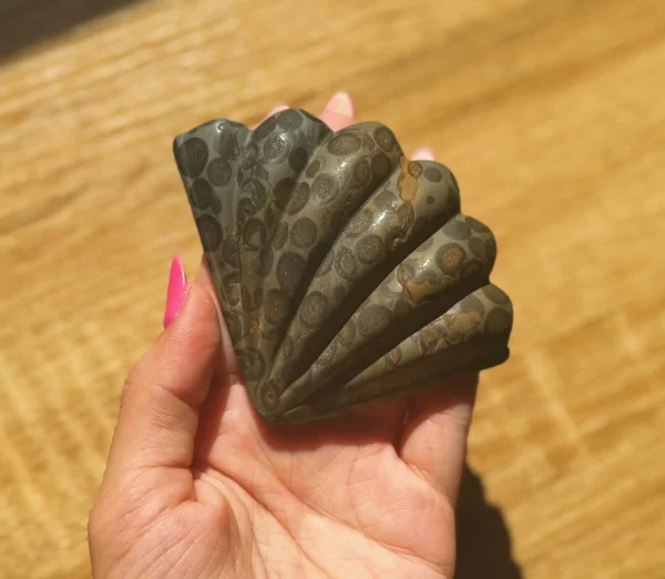 The Mermaid’s Fortune Shell - Image 2