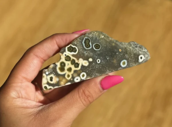 Ocean Jasper Freeform✨8th Vein