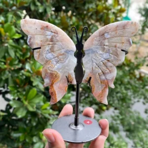 Forest Spell Butterfly Mexican Agate Edition