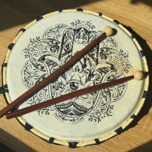 Guardian Rhythm Drum🥁✨