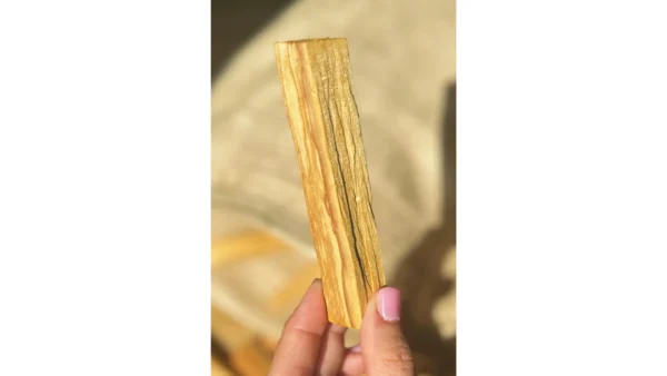 🔥Palo Santo ~ Sacred Breath of the Ancients🌿 - Image 2