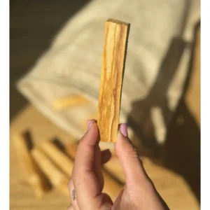 🔥Palo Santo ~ Sacred Breath of the Ancients🌿