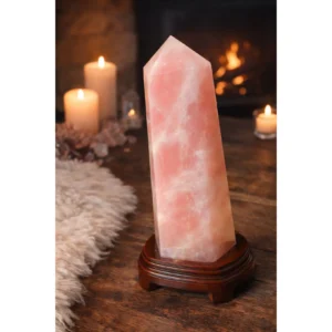 ☁️💕Venus Dreamspire 💕☁️