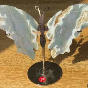 Moss Agate Butterfly Wings🦋