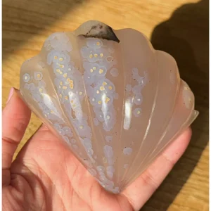 Siren’s Whisper ~ Agate Shell🐚🌊✨