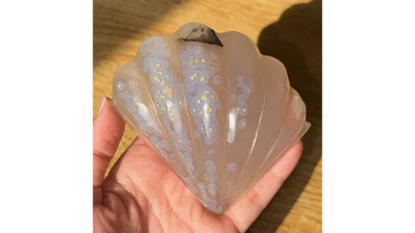 Siren’s Whisper ~ Agate Shell🐚🌊✨