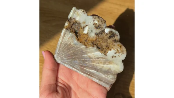 🧜‍♀️Mermaid’s Shore ~ Ocean Jasper Shell 🐚✨