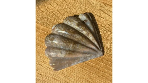 🧜‍♀️Mermaid’s Shore ~ Ocean Jasper Shell 🐚✨ - Image 4