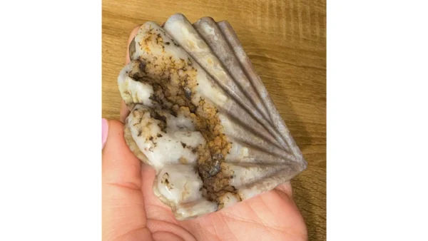 🧜‍♀️Mermaid’s Shore ~ Ocean Jasper Shell 🐚✨ - Image 2