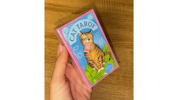 ✨Cat Tarot Deck🐱✨