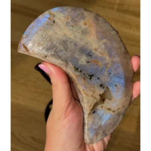 🌙Duskmist Glow ~ Moonstone Moon🖤