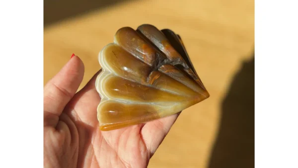 🐚✨Earthbond Agate Shell🐚✨ - Image 5