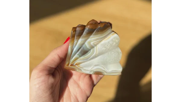 🐚✨Earthbond Agate Shell🐚✨ - Image 2