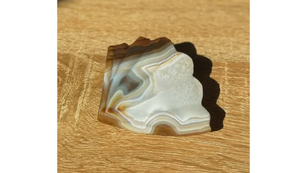 🐚✨Earthbond Agate Shell🐚✨ - Image 4