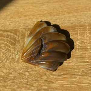 🐚✨Earthbond Agate Shell🐚✨