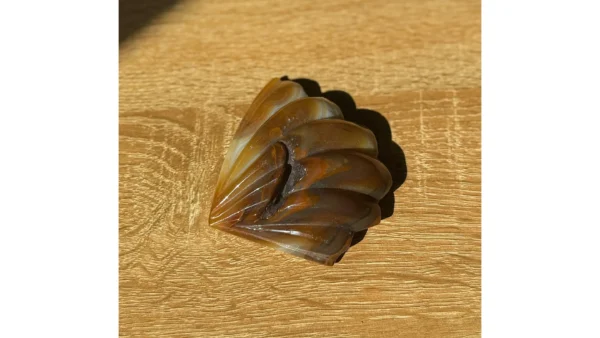 🐚✨Earthbond Agate Shell🐚✨