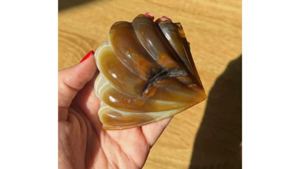 🐚✨Earthbond Agate Shell🐚✨ - Image 3