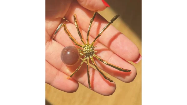 🌰Burntwood Mookaite Lurker🕷️