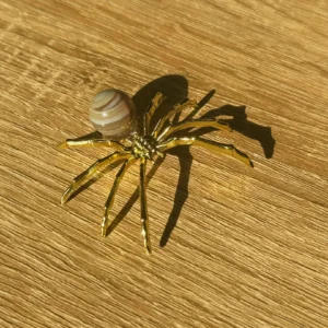 🤎Radiant Bands Spider🕷️