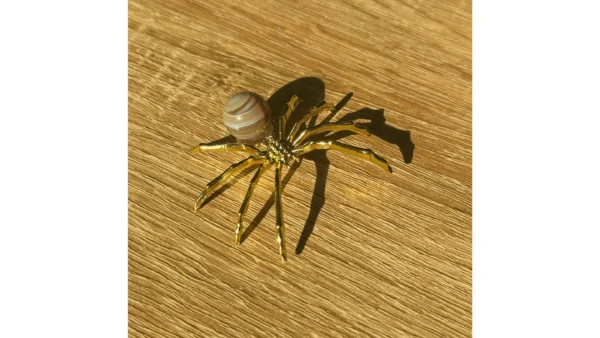 🤎Radiant Bands Spider🕷️