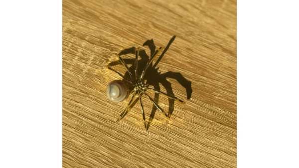 🤎Radiant Bands Spider🕷️ - Image 3