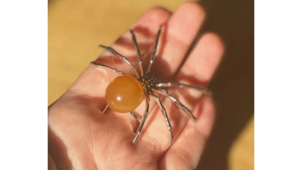 🌅Sunset Calcite Crawler🕷️ - Image 3
