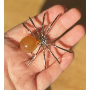 🌅Sunset Calcite Crawler🕷️