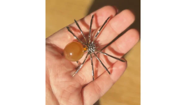 🌅Sunset Calcite Crawler🕷️