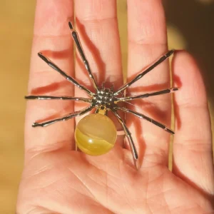 💛Sunlit Agate Spinner🕷️