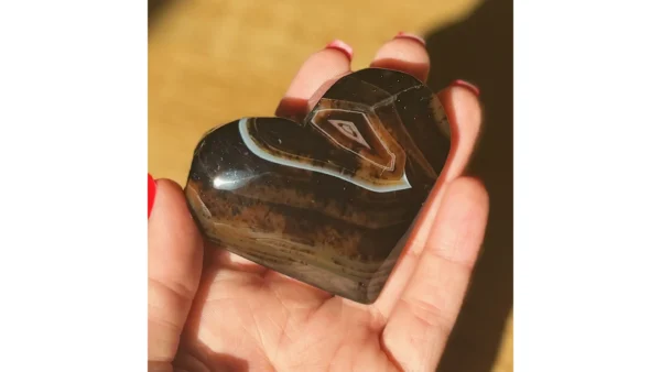 ✨Heart of Echoes ~ Sardonyx Agate🤎