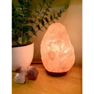 Sanctuary Glow Himalayan Salt Lamp🕯️