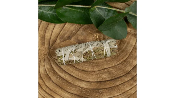 ✨White Sage & Rosemary ~ Smudge Stick🌫